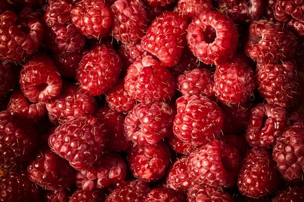 Comment les entreprises peuvent-elles utiliser le marketing digital pour promouvoir l'accès à l'éducation ?